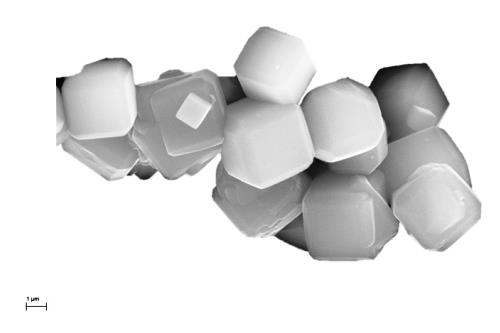 Module Zeolites